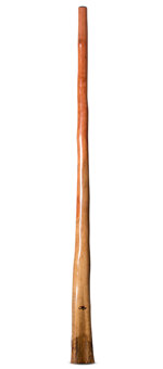 Tristan O'Meara Didgeridoo (TM415)